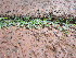  ( - KMS-0135)  @11 [ ] No Rights Reserved  Unspecified Unspecified