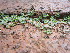  ( - KMS-0135)  @11 [ ] No Rights Reserved  Unspecified Unspecified