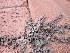  ( - KMS-0137)  @11 [ ] No Rights Reserved  Unspecified Unspecified