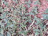  ( - KMS-0138)  @11 [ ] No Rights Reserved  Unspecified Unspecified