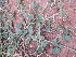  ( - KMS-0138)  @11 [ ] No Rights Reserved  Unspecified Unspecified
