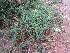  ( - KMS-0139)  @11 [ ] No Rights Reserved  Unspecified Unspecified