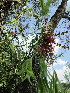 ( - KMS-0150)  @11 [ ] No Rights Reserved  Unspecified Unspecified