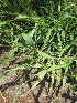  ( - KMS-0169)  @11 [ ] No Rights Reserved  Unspecified Unspecified