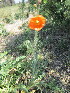  ( - KMS-0174)  @11 [ ] No Rights Reserved  Unspecified Unspecified