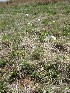  ( - KMS-0175)  @11 [ ] No Rights Reserved  Unspecified Unspecified
