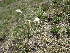  ( - KMS-0175)  @11 [ ] No Rights Reserved  Unspecified Unspecified