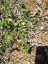  ( - KMS-0182)  @11 [ ] No Rights Reserved  Unspecified Unspecified