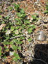  ( - KMS-0182)  @11 [ ] No Rights Reserved  Unspecified Unspecified
