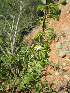  ( - KMS-0187)  @11 [ ] No Rights Reserved  Unspecified Unspecified