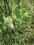  ( - KMS-0191)  @11 [ ] No Rights Reserved  Unspecified Unspecified