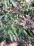  ( - KMS-0201)  @11 [ ] No Rights Reserved  Unspecified Unspecified