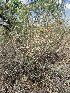  ( - KMS-0203)  @11 [ ] No Rights Reserved  Unspecified Unspecified