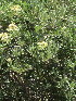  ( - KMS-0206)  @11 [ ] No Rights Reserved  Unspecified Unspecified