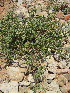  ( - KMS-0214)  @11 [ ] No Rights Reserved  Unspecified Unspecified