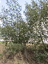  ( - KMS-0227)  @12 [ ] No Rights Reserved  Unspecified Unspecified