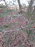  ( - KMS-0227)  @12 [ ] No Rights Reserved  Unspecified Unspecified
