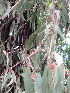  ( - KMS-0228)  @11 [ ] No Rights Reserved  Unspecified Unspecified