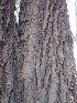  ( - KMS-0228)  @11 [ ] No Rights Reserved  Unspecified Unspecified