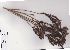  (Liparia - Stirton13542)  @11 [ ] No Rights Reserved  Unspecified Unspecified
