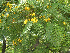 ( - MND-0029)  @11 [ ] No Rights Reserved  Unspecified Unspecified