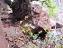  ( - MND-0042)  @11 [ ] No Rights Reserved  Unspecified Unspecified