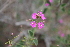  ( - MS109.1)  @11 [ ] No Rights Reserved  Unspecified Unspecified
