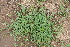  ( - MS112.1)  @11 [ ] No Rights Reserved  Unspecified Unspecified