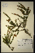  ( - MWC18588)  @11 [ ] No Rights Reserved  Unspecified Unspecified