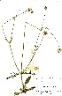 ( - OM0615)  @11 [ ] No Rights Reserved  Unspecified Unspecified