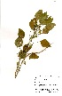  ( - OM0649)  @11 [ ] No Rights Reserved  Unspecified Unspecified