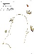  ( - OM0678)  @11 [ ] No Rights Reserved  Unspecified Unspecified