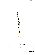  ( - OM0683)  @11 [ ] No Rights Reserved  Unspecified Unspecified