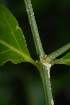  ( - OM2483)  @11 [ ] Unspecified (default): All Rights Reserved  Unspecified Unspecified