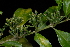  ( - OM2483)  @11 [ ] Unspecified (default): All Rights Reserved  Unspecified Unspecified