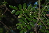  ( - OM2498)  @11 [ ] CreativeCommons - Attribution Non-Commercial Share-Alike (2011) Olivier Maurin University of Johannesburg