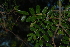  ( - OM2498)  @11 [ ] CreativeCommons - Attribution Non-Commercial Share-Alike (2011) Olivier Maurin University of Johannesburg