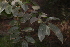 ( - OM2514)  @11 [ ] CreativeCommons - Attribution Non-Commercial Share-Alike (2011) Olivier Maurin University of Johannesburg