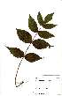  ( - OM2540)  @11 [ ] No Rights Reserved  Unspecified Unspecified