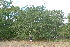  ( - OM2576)  @11 [ ] CreativeCommons - Attribution Non-Commercial Share-Alike (2011) Olivier Maurin University of Johannesburg
