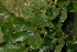  ( - OM2578)  @11 [ ] CreativeCommons - Attribution Non-Commercial Share-Alike (2011) Olivier Maurin University of Johannesburg