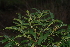  ( - OM2583)  @11 [ ] CreativeCommons - Attribution Non-Commercial Share-Alike (2011) Olivier Maurin University of Johannesburg