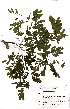  ( - OM2586)  @11 [ ] No Rights Reserved  Unspecified Unspecified