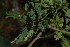  ( - OM2586)  @11 [ ] CreativeCommons - Attribution Non-Commercial Share-Alike (2011) Olivier Maurin University of Johannesburg