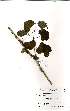  ( - OM2587)  @11 [ ] No Rights Reserved  Unspecified Unspecified