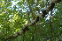  ( - OM2670)  @11 [ ] CreativeCommons - Attribution Non-Commercial Share-Alike (2011) Olivier Maurin University of Johannesburg