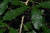 ( - OM2682)  @11 [ ] CreativeCommons - Attribution Non-Commercial Share-Alike (2011) Olivier Maurin University of Johannesburg