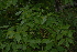  ( - OM2728)  @11 [ ] CreativeCommons - Attribution Non-Commercial Share-Alike (2011) Olivier Maurin University of Johannesburg