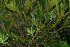  ( - OM2823)  @11 [ ] CreativeCommons - Attribution Non-Commercial Share-Alike (2011) Olivier Maurin University of Johannesburg