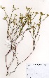  ( - OM2926)  @11 [ ] No Rights Reserved  Unspecified Unspecified